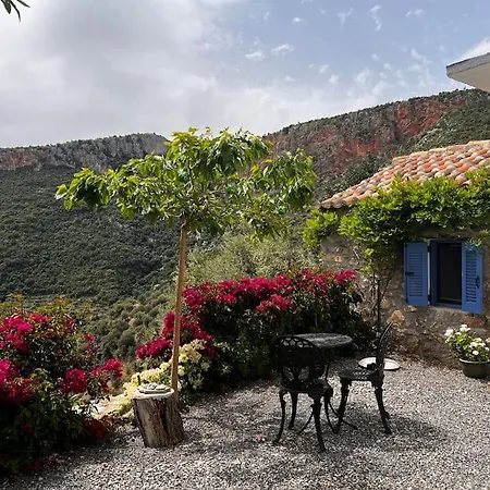 The Donkey House, Pragmatefti *